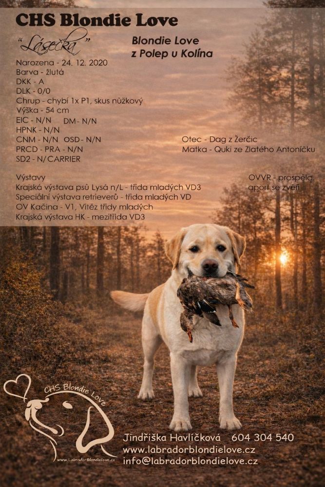 Blondie Love z Polep u Kolína